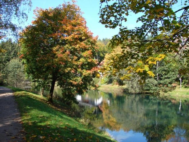 Hotel Breitenbacher Hof Waldachtal Dış mekan fotoğraf