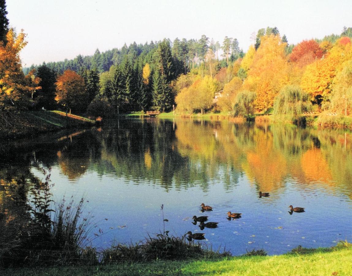 Hotel Breitenbacher Hof Waldachtal Dış mekan fotoğraf